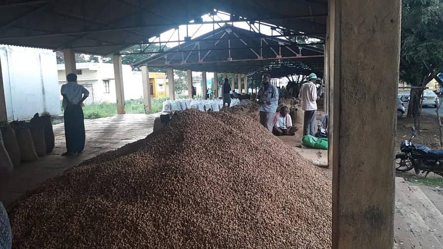 ಶಿರಾ ಎಪಿಎಂಸಿ ಮಾರುಕಟ್ಟೆಗೆ ಮಂಗಳವಾರ ಬಂದಿರುವ ಶೇಂಗಾ