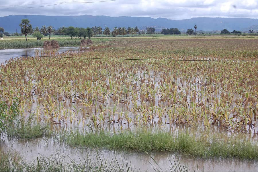 ಮರಿಯಮ್ಮನಹಳ್ಳಿ ಸಮೀಪದ ಡಣಾಯಕನಕೆರೆಗೆ ಬುಧವಾರ ಕೋಡಿ ಬಿದ್ದಿದ್ದು, ಕೆರೆ ಮಾಗಾಣಿ ಪ್ರದೇಶದಲ್ಲಿ ಬೆಳೆದ ಜೋಳದ ಬೆಳೆ ಜಲಾವೃತವಾಗಿದೆ