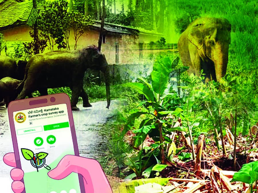 ಸಾಂಕೇತಿಕ ಚಿತ್ರ