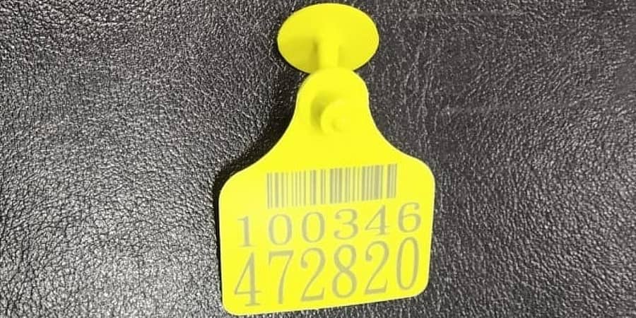 ರಾಸುಗಳ ಕಿವಿಗೆ ಅಳವಡಿಸುವ ವಿಶಿಷ್ಟ ಸಂಖ್ಯೆಯುಳ್ಳ ಟ್ಯಾಗ್