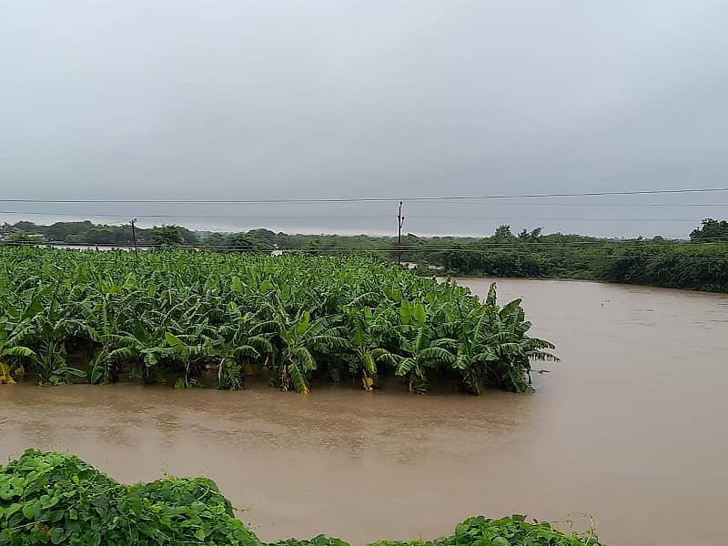 ಭಾರಿ ಮಳೆಯಿಂದಾಗಿ ನೀರಿನಿಂದ ಜಲಾವೃತವಾಗಿರುವ ಬಾಳೆ ತೋಟ