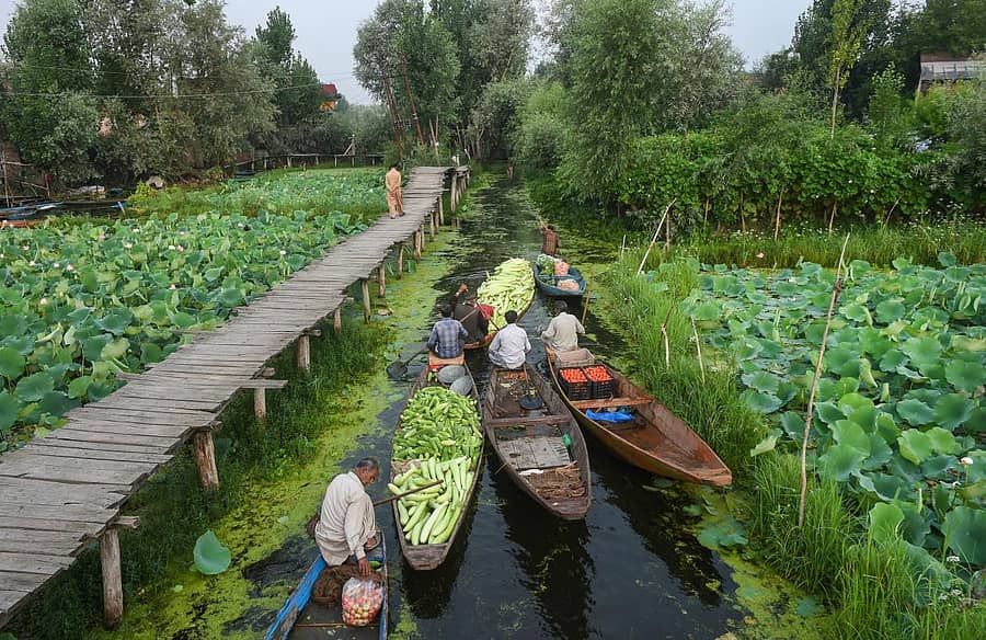 ಶ್ರೀನಗರದ ದಾಲ್ ಲೇಕ್ನಲ್ಲಿ ತೇಲುವ ಮಾರುಕಟ್ಟೆಯ ಸಂಗ್ರಹ ಚಿತ್ರ