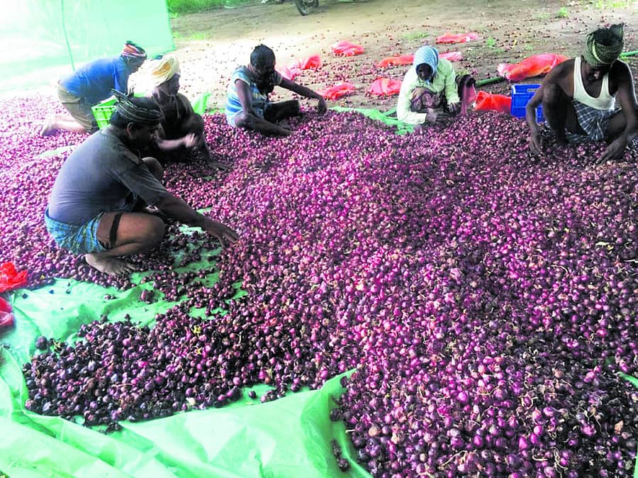 ಸಾಂದರ್ಭಿಕ ಚಿತ್ರ