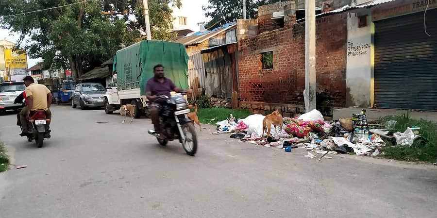 ಮದ್ದೂರು ಪಟ್ಟಣದ ಪೇಟೆಬೀದಿ ಸಮೀಪದ ರಸ್ತೆ ಬದಿಯಲ್ಲಿ ಚೆಲ್ಲಾಡುತ್ತಿರುವ ಕಸ