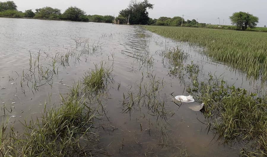ವಡಗೇರಾ ತಾಲ್ಲೂಕಿನ ನಾಯ್ಕಲ್ ಗ್ರಾಮದ ಬಳಿಯ ಭೀಮಾ ನದಿಗೆ ಹೆಚ್ಚಿನ ನೀರು ಹರಿದು ಬರುತ್ತಿರುವುದರಿಂದ ಭಾನುವಾರ ನದಿ ದಂಡೆಯ ಜಮೀನಿನಲ್ಲಿ ನೀರು ಸಂಗ್ರಹವಾಗಿದೆ