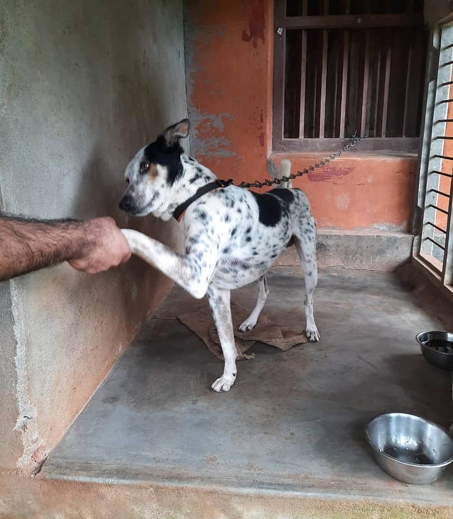 ಸಾಂದರ್ಭಿಕ ಚಿತ್ರ.