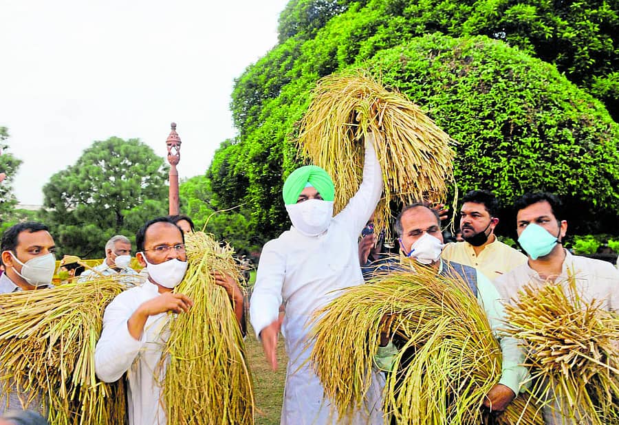 ಕೃಷಿ ಕ್ಷೇತ್ರಕ್ಕೆ ಸಂಬಂಧಿಸಿದ ಮಸೂದೆಗಳನ್ನು ವಿರೋಧಿಸಿ ಕಾಂಗ್ರೆಸ್ ಸಂಸದರು ಸಂಸತ್ ಭವನದ ಸಮೀಪ ಬುಧವಾರ ಪ್ರತಿಭಟನೆ ನಡೆಸಿದರು –ಪಿಟಿಐ ಚಿತ್ರ