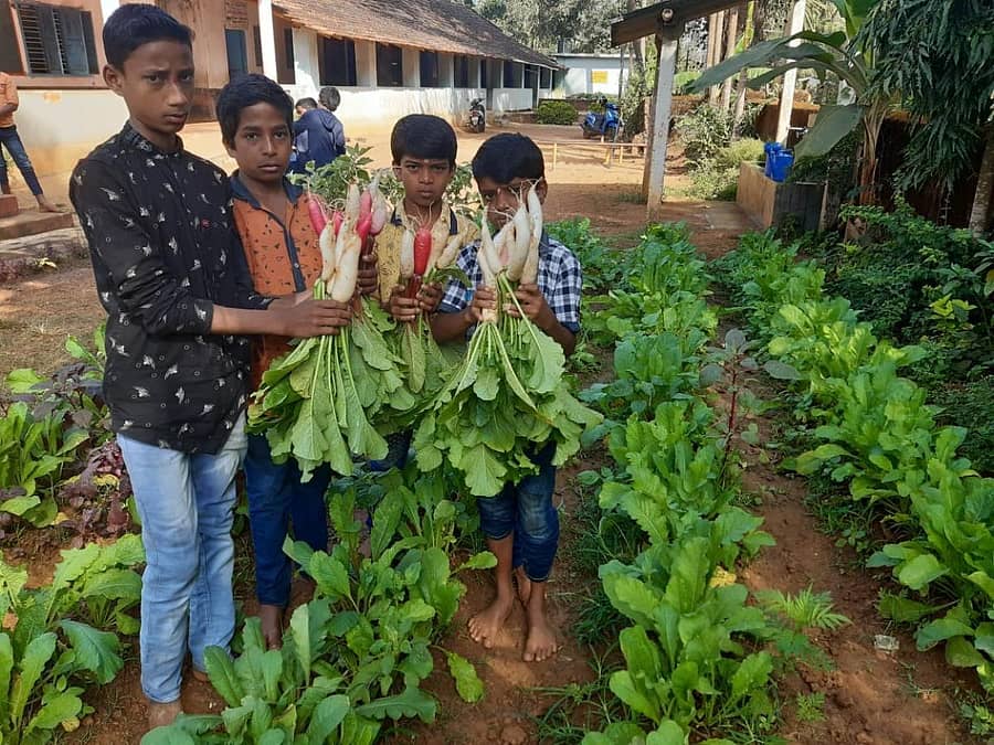 ಸಾಂದರ್ಭಿಕ ಚಿತ್ರ