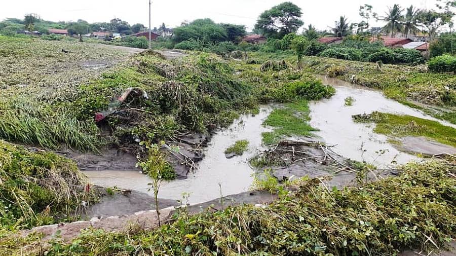ಬೈಲಹೊಂಗಲದ ದೊಡವಾಡ ಸುತ್ತಮುತ್ತ ಬೆಳೆದಿದ್ದ ಹೆಸರು ಕಾಳು ಬೆಳೆ ಮಳೆಗೆ ಆಹುತಿಯಾಗಿದೆ