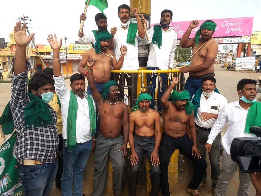 ಹಾವೇರಿ ನಗರದ ಹೊಸಮನಿ ಸಿದ್ದಪ್ಪ ವೃತ್ತದಲ್ಲಿ ರೈತಸಂಘದ ವತಿಯಿಂದ ಸೋಮವಾರ ಅರೆಬೆತ್ತಲೆ ಮೆರವಣಿಗೆ ನಡೆಯಿತು –ಪ್ರಜಾವಾಣಿ ಚಿತ್ರ