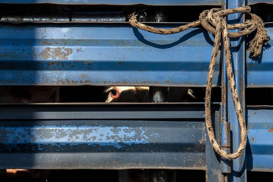 ಸಾಂದರ್ಭಿಕ ಚಿತ್ರ