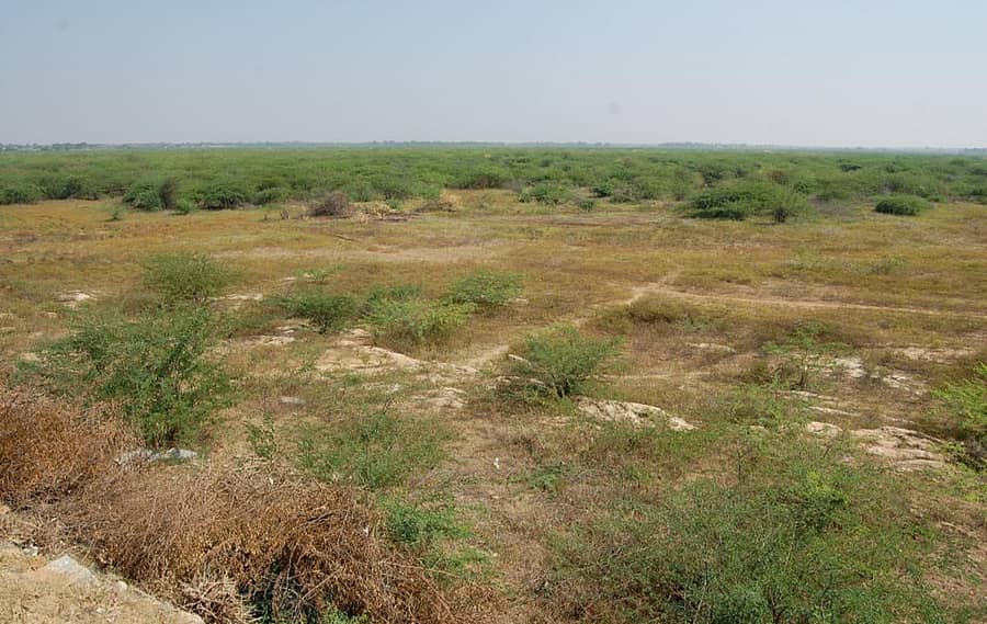 ಶಿರಾ ತಾಲ್ಲೂಕು ಮದಲೂರು ಕೆರೆಯ ಈಗಿನ ಸ್ಥಿತಿ