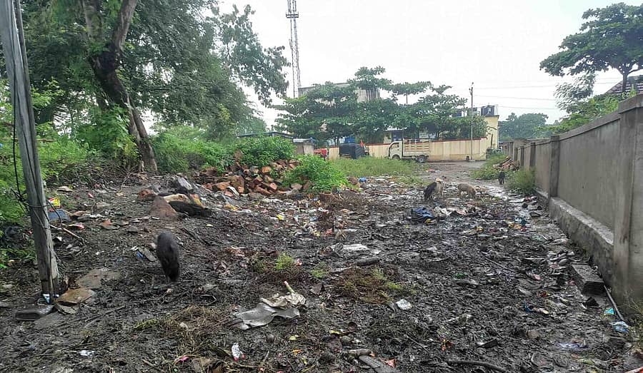 ಕೂಡಲಸಂಗಮ ಗ್ರಾಮ ಪಂಚಾಯ್ತಿ ಮುಂದಿನ ರಸ್ತೆಯಲ್ಲಿ ಗ್ರಾಮಸ್ಥರು ಕಸ ಹಾಕಿರುವುದು