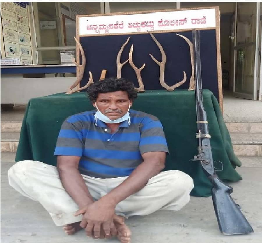 ಜಿಂಕೆ ಕೊಂಬುಗಳು, ನಾಡ ಬಂದೂಕು ಜೊತೆ ಆರೋಪಿ