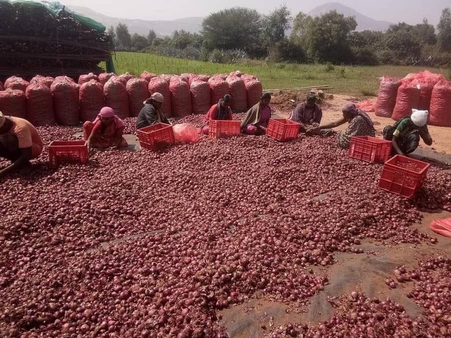 ಸಾಂದರ್ಭಿಕ ಚಿತ್ರ