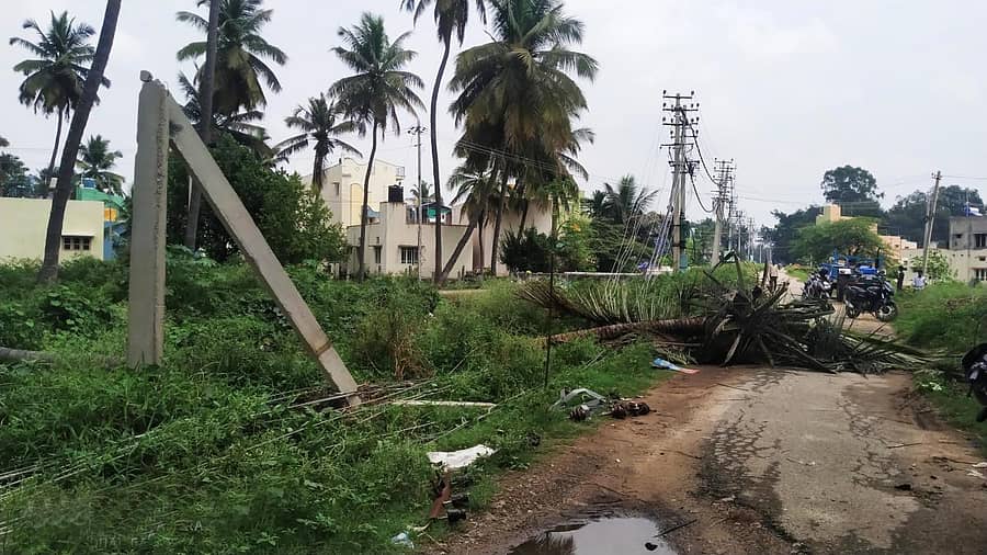 ಮದ್ದೂರು ಪಟ್ಟಣದ ವ್ಯಾಪ್ತಿಯಲ್ಲಿ ಗುರುವಾರ ರಾತ್ರಿ ಭಾರಿ ಮಳೆಯಾದ ಕಾರಣ ಸರ್ ಎಂ.ವಿಶ್ವೇಶ್ವರಯ್ಯನಗರದ ಬಳಿ ಬರುವ ಕೆಮ್ಮಣ್ಣು ನಾಲೆಯ ಬಳಿ ಮರಗಳು ಹಾಗೂ ವಿದ್ಯುತ್ ಕಂಬಗಳು ಧರೆಗುರುಳಿವೆ