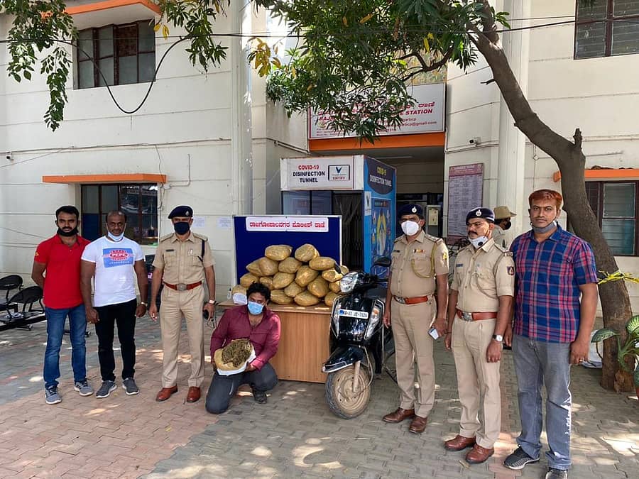 ಜಪ್ತಿ ಮಾಡಲಾದ ಗಾಂಜಾ ಜೊತೆ ಆರೋಪಿ ಹಾಗೂ ಆತನನ್ನು ಬಂಧಿಸಿದ ಪೊಲೀಸರ ತಂಡ