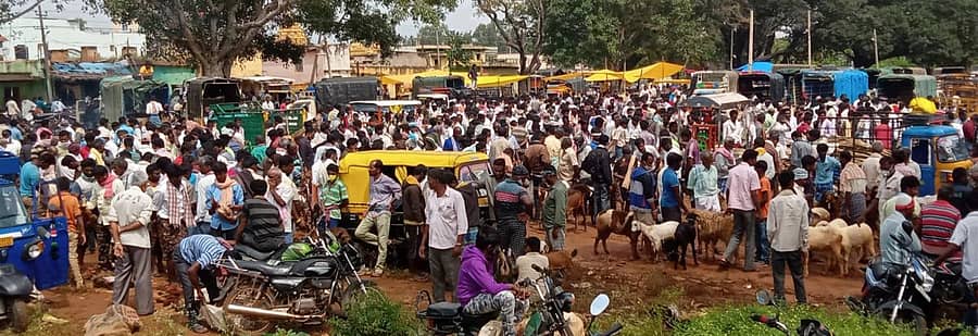 ಹೊಸಕೆರೆ ಸಂತೆಯಲ್ಲಿ ಕುರಿ ಸಂತಗೆ ಅಂತರ ಮರೆತು ಜನ ಸೇರಿದ್ದರು