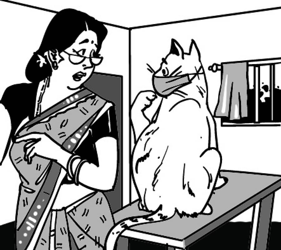 ಸಾಂದರ್ಭಿಕ ಚಿತ್ರ