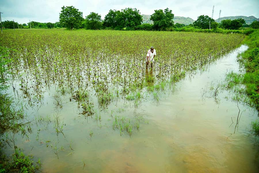 ಕೊಪ್ಪಳ ತಾಲ್ಲೂಕಿನ ಕೋಳೂರು ಬಳಿ ಹಿರೇಹಳ್ಳಕ್ಕೆ ನಿರ್ಮಿಸಿದ ಬಾಂದಾರ ಶನಿವಾರ ರಾತ್ರಿಯಿಡೀ ಸುರಿದ ಭಾರಿ ಮಳೆಗೆ ಕಿತ್ತುಕೊಂಡು ಹೋಗಿದೆ. ಬಾಂದಾರ ಗೇಟ್ ತೆರೆಯದ ಕಾರಣ ಒತ್ತಡದಿಂದ ಜಮೀನುಗಳಿಗೆ ನುಗ್ಗಿ ಸೇತುವೆಯ ಪಾರ್ಶ್ವ ಭಾಗ ಸಂಪೂರ್ಣ ಕುಸಿದಿದೆ (ಎಡಚಿತ್ರ) ಹಿರೇಹಳ್ಳದ ಪ್ರವಾಹದಿಂದಾಗಿ ಮಂಗಳಾಪುರ ಗ್ರಾಮದ ಹತ್ತಿ ಹೊಲದಲ್ಲಿ ನೀರು ನಿಂತಿರುವುದನ್ನು ವೀಕ್ಷಿಸುತ್ತಿರುವ ರೈತ ಪ್ರಜಾವಾಣಿ ಚಿತ್ರಗಳು: ಭರತ್ ಕಂದಕೂರ