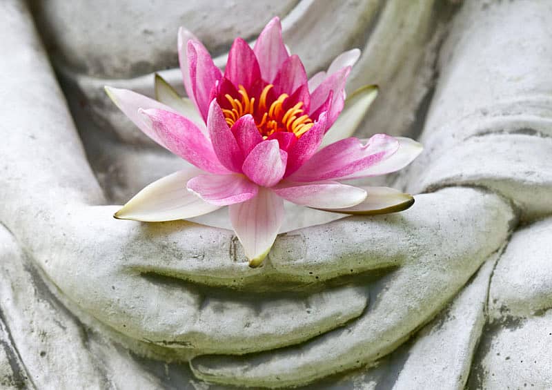 ಪ್ರಾತಿನಿಧಿಕ ಚಿತ್ರ