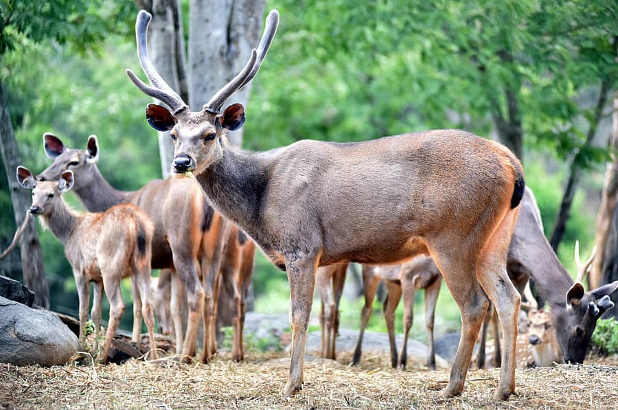 ಸಾಂದರ್ಭಿಕ ಚಿತ್ರ