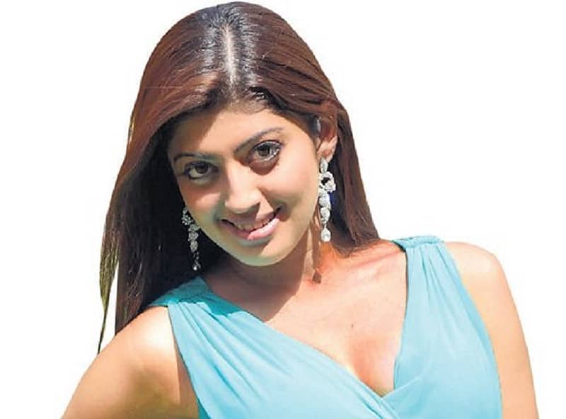 ನಟಿ ಪ್ರಣೀತಾ ಸುಭಾಷ್ 