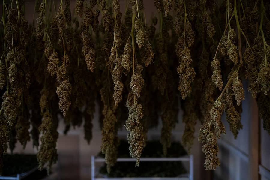 ಪ್ರಾತಿನಿಧಿಕ ಚಿತ್ರ