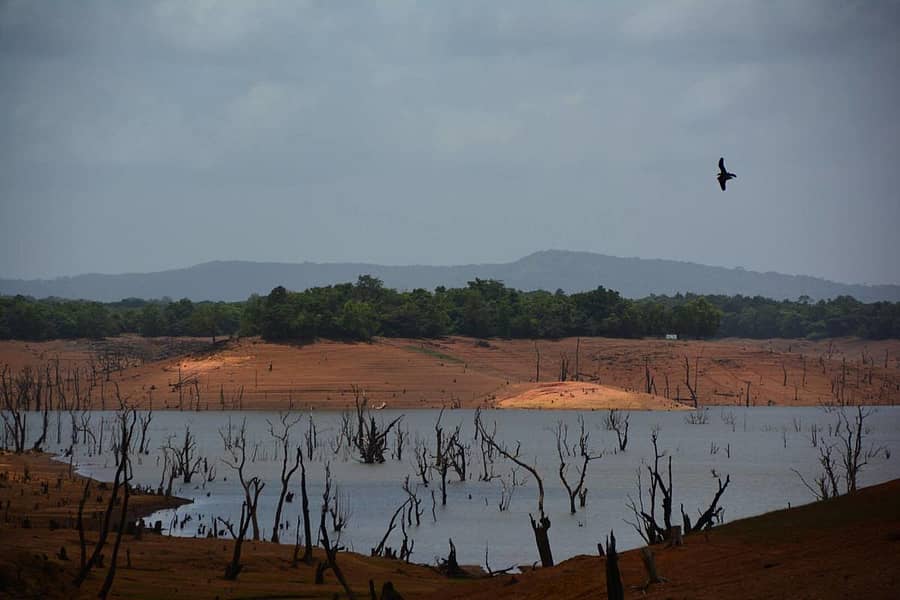 ಶರಾವತಿ ನದಿಚಿತ್ರ ಕೃಪೆ: ಡಾ. ನಿಸರ್ಗ