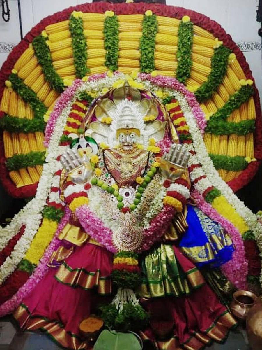 ಚಿತ್ರದುರ್ಗದ ಬರಗೇರಮ್ಮ ದೇವಿಗೆ ಮೆಕ್ಕೆಜೋಳಗಳಿಂದ ವಿಶೇಷವಾಗಿ ಅಲಂಕರಿಸಿರುವುದು