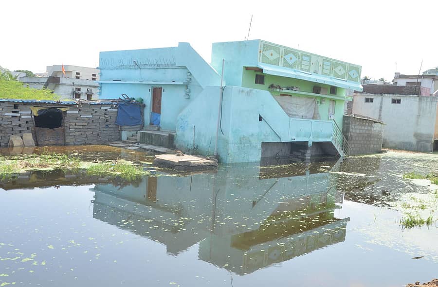 ವಡಗೇರಾ ತಾಲ್ಲೂಕಿನ ನಾಯ್ಕಲ್ ಗ್ರಾಮದಲ್ಲಿ ಭೀಮಾ ನದಿಯ ಹಿನ್ನೀರಿನಿಂದ ಮನೆಗಳು ಜಲಾವೃತವಾಗಿರುವುದು