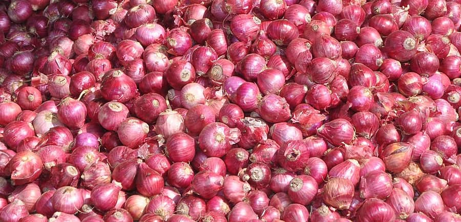 ಈರುಳ್ಳಿ