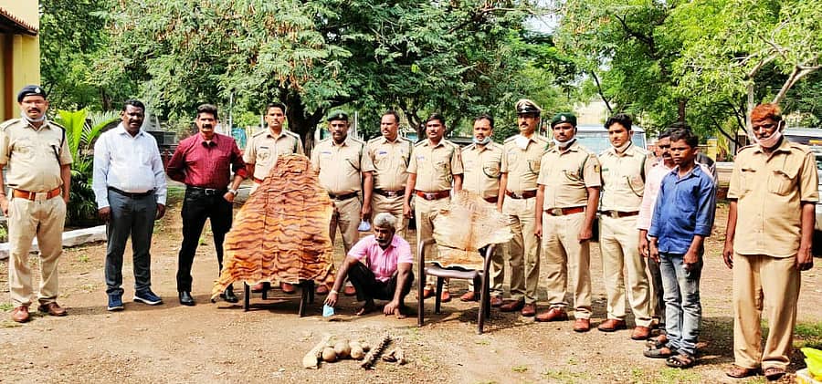 ಅರಣ್ಯ ಇಲಾಖೆ ಅಧಿಕಾರಿಗಳು ಆರೋಪಿ ಮಹೇಶ ಹಿರೇಮಠ ಎಂಬಾತನನ್ನು ಬಂಧಿಸಿದ್ದಾರೆ.