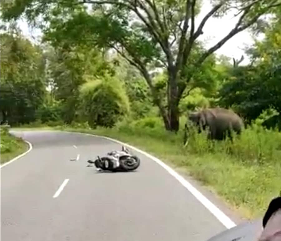 ರಸ್ತೆಯಲ್ಲಿ ಬಿದ್ದಿರುವ ಸ್ಕೂಟರ್‌ ಬಳಿಯೇ ಆನೆ ನಿಂತಿರುವುದು (ವಿಡಿಯೊ ಚಿತ್ರ)