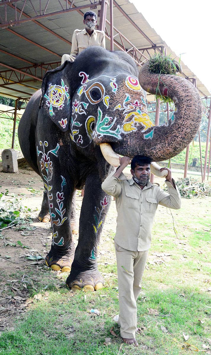 ಅಭಿಮನ್ಯುವಿನ ದಂತ ಹಿಡಿದ ಮಾವುತ ವಸಂತ