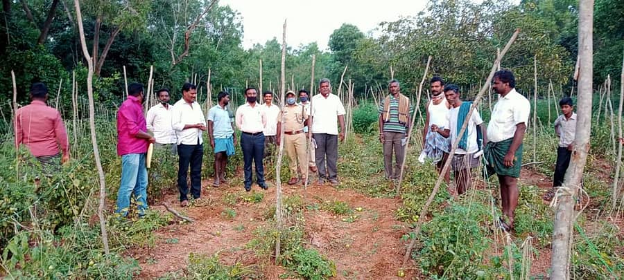 ಬಂಗಾರಪೇಟೆ ತಾಲ್ಲೂಕಿನ ಶ್ರೀನಿವಾಸನಗರದಲ್ಲಿ ಆನೆಗಳ ಹಿಂಡು ರೈತರ ಹೊಲಗಳಿಗೆ ನುಗ್ಗಿ ಬೆಳೆ ನಾಶಪಡಿಸಿದ್ದು, ವಲಯ ಅರಣ್ಯಾಧಿಕಾರಿ ಸಂತೋಷ್ ಕುಮಾರ್ ಪರಿಶೀಲಿಸಿದರು