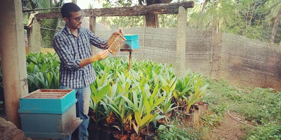 ಜೇನು ಪೆಟ್ಟಿಗೆಯೊಂದಿಗೆ ಹರೀಶ ಹೆಗಡೆ