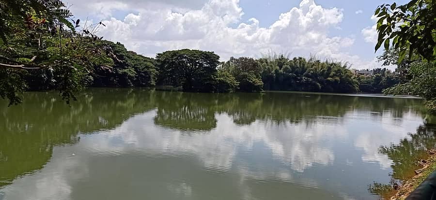 ರಾಜರಾಜೇಶ್ವರಿ ನಗರದಲ್ಲಿರುವ ಹಲಗೆವಡೇರಹಳ್ಳಿ ಕೆರೆ - ಚಿತ್ರ: ಕೆರೆ ಮಂಜುನಾಥ್‌