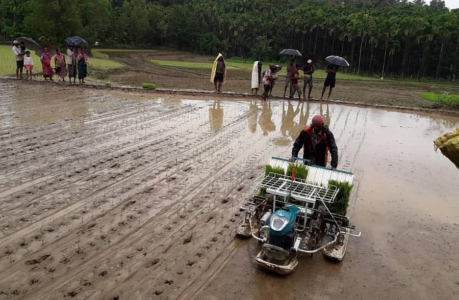 ಕೊಪ್ಪ ತಾಲ್ಲೂಕಿನ ನಿಲುವಾಗಿಲು ಗ್ರಾಮದ ರೈತರೊಬ್ಬರು ಯಂತ್ರಧಾರೆ ಯೋಜನೆಯ ಯಂತ್ರ ಬಳಸಿ ಭತ್ತ ನಾಟಿಯಲ್ಲಿ ತೊಡಗಿರುವುದು.