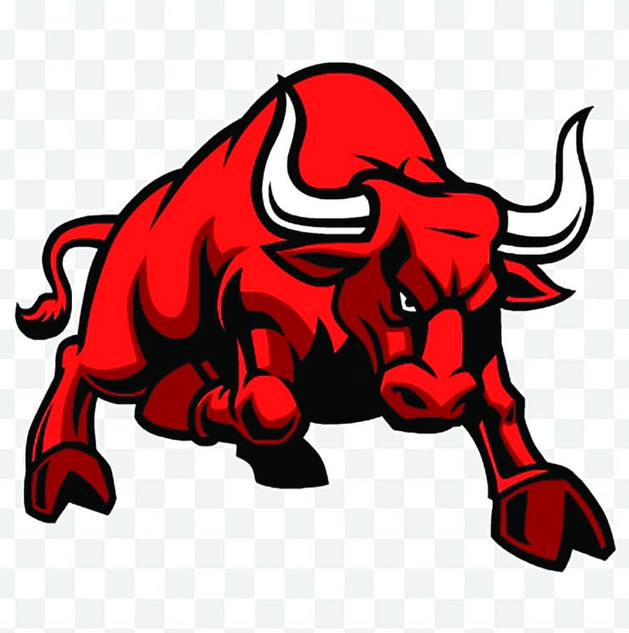 ಷೇರುಪೇಟೆಯಲ್ಲಿ ಗೂಳಿ ಓಟ–ಪ್ರಾತಿನಿಧಿಕ ಚಿತ್ರ