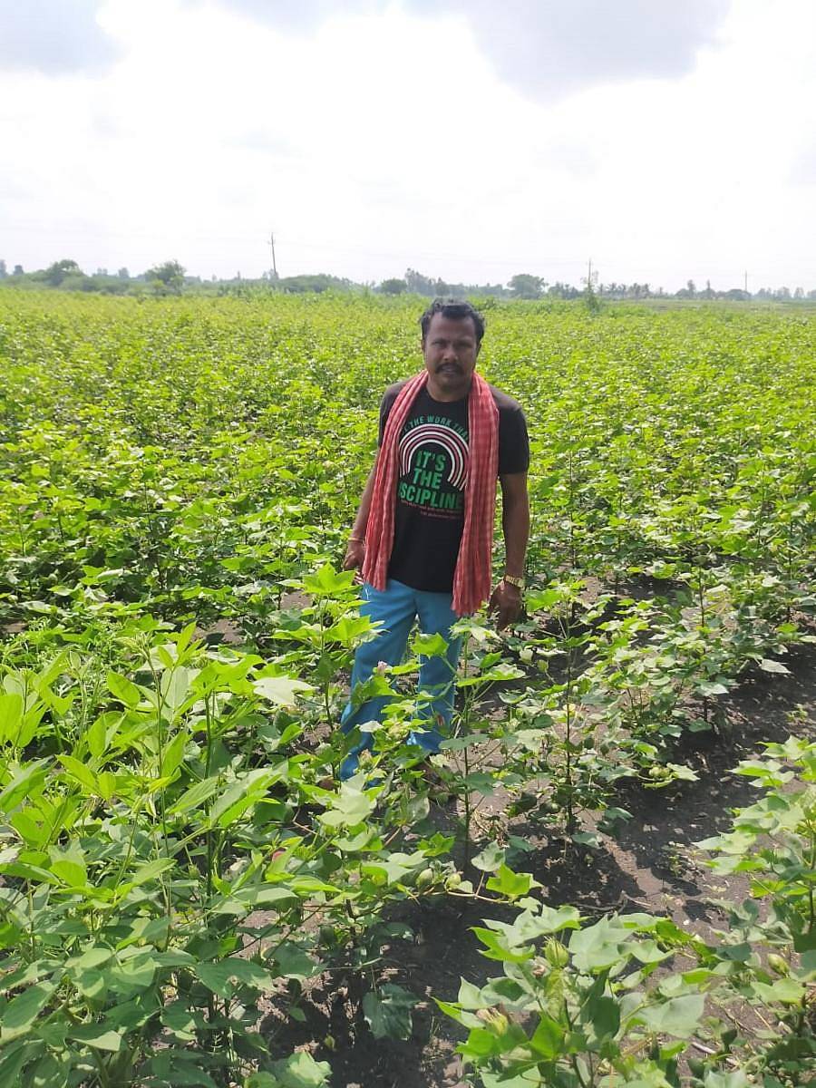 ಸಿಂಧನೂರು ತಾಲ್ಲೂಕಿನ ಆರ್.ಎಚ್.ಕ್ಯಾಂಪಿನ ಹತ್ತಿ ಹೊಲದಲ್ಲಿ ಬಾಣಸಿಗ ಲಲಿತ್ ಮೋಹನ್