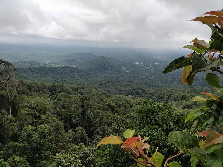 ಪಶ್ಚಿಮ ಘಟ್ಟದ ಜೀವವೈವಿಧ್ಯ (ಸಾಂದರ್ಭಿಕ ಚಿತ್ರ)