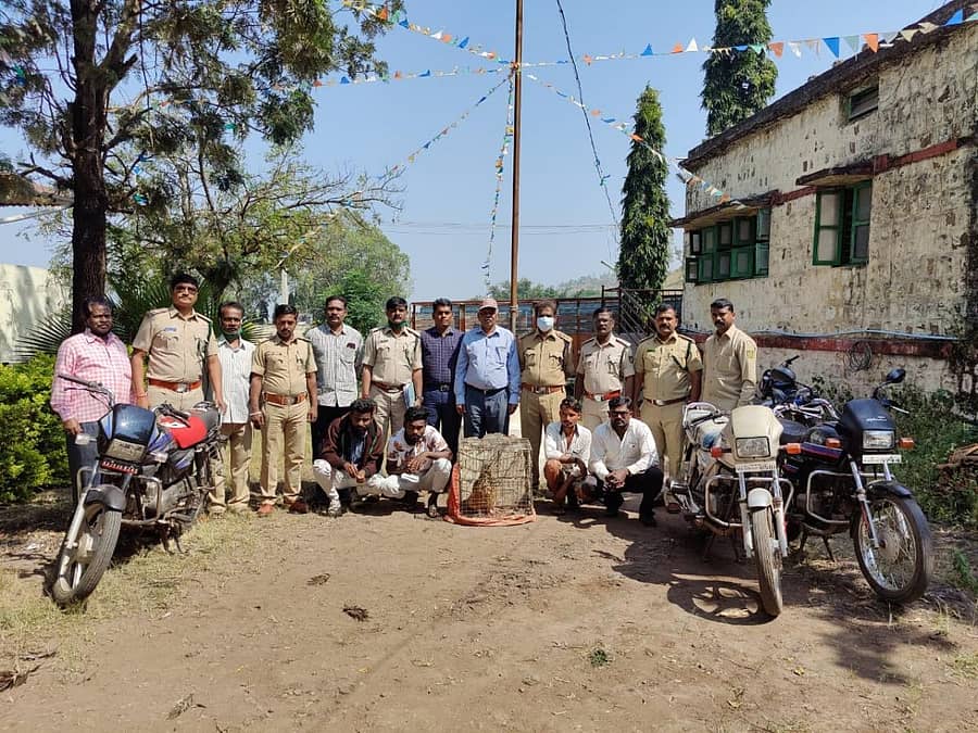 ಜೀವಂತ ಗೂಬೆ ಹಾಗೂ ವಿವಿಧ ವನ್ಯಜೀವಿ ಪರಿಕರಗಳನ್ನು ಮಾರುವ ಜಾಲವನ್ನು ಭೇದಿಸಿರುವ ಬೆಳಗಾವಿಯ ಅರಣ್ಯ ಸಂಚಾರ (ಜಾಗೃತ) ದಳದವರು ಐವರು ಆರೋಪಿಗಳನ್ನು ಚಿಕ್ಕೋಡಿಯಲ್ಲಿ ಮಂಗಳವಾರ ಬಂಧಿಸಿದ್ದಾರೆ