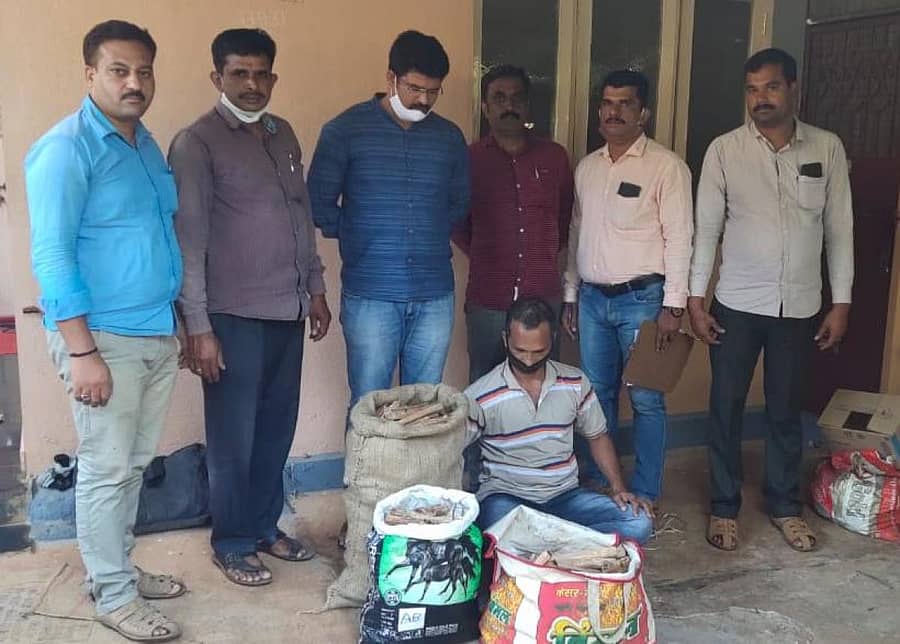 ಸಾಗರದಲ್ಲಿ ಬುಧವಾರ ₹ 5 ಲಕ್ಷ ಮೌಲ್ಯದ ಶ್ರೀಗಂಧದ ತುಂಡುಗಳನ್ನು ಪೊಲೀಸ್ ಅರಣ್ಯ ಸಂಚಾರ ದಳದ ಸಿಬ್ಬಂದಿ ವಶಪಡಿಸಿಕೊಂಡರು