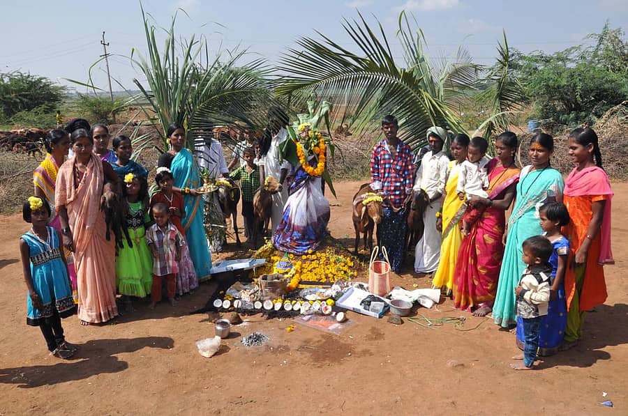 ಕೊಪ್ಪಳ ತಾಲ್ಲೂಕಿನ ಅಳವಂಡಿ ಹೋಬಳಿಯಲ್ಲಿ ದೀಪಾವಳಿ ನಿಮಿತ್ತ ಹಟ್ಟಿ ಹಬ್ಬದಲ್ಲಿ ಸಂಭ್ರಮದಿಂದ ತೊಡಗಿರುವ ಕುರಿಗಾರರು (ಸಂಗ್ರಹ ಚಿತ್ರ)