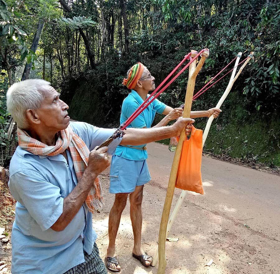 ಕುಮಟಾ ತಾಲ್ಲೂಕಿನ ಮೂರೂರು ಕಲ್ಲಬ್ಬೆಯಲ್ಲಿ ಕೃಷಿಕರು ಮಂಗಗಳನ್ನು ಓಡಿಸಲು ದೊಡ್ಡ ಕವಣೆಗಳನ್ನು ಉಪಯೋಗಿಸುತ್ತಿರುವುದು