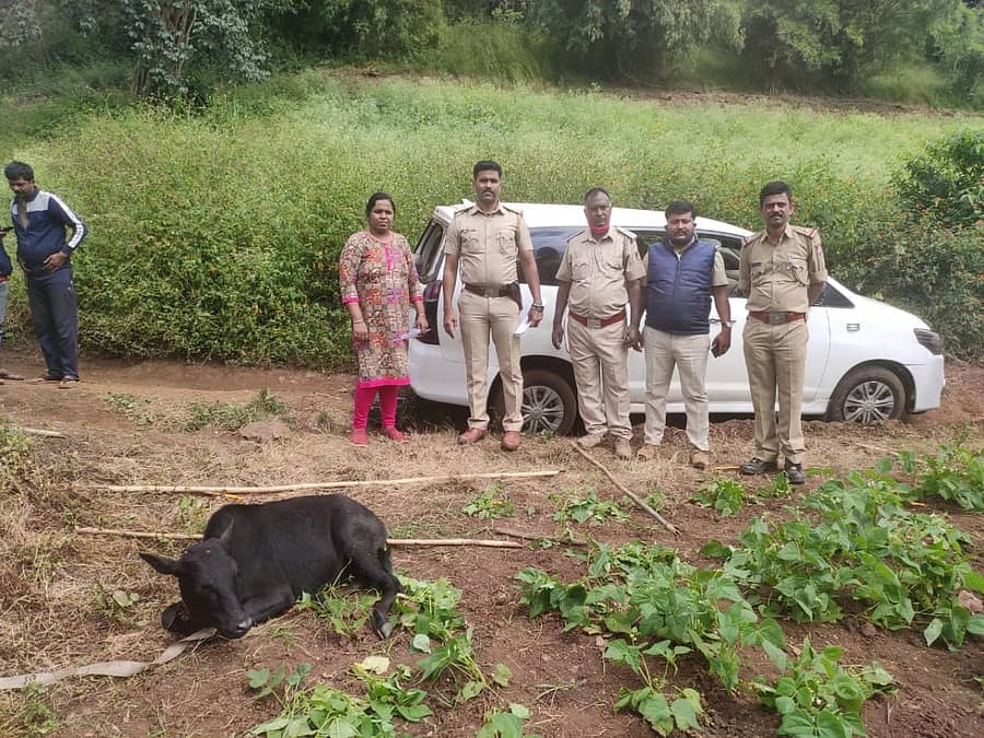 ತರೀಕೆರೆ ತಾಲ್ಲೂಕಿನ ಲಿಂಗದಹಳ್ಳಿ ಬಳಿ ಗೋಕಳ್ಳರು ಬಿಟ್ಟು ಹೋದ ಇನೋವಾ ಕಾರು. ಪೊಲೀಸರು ಇದ್ದಾರೆ.