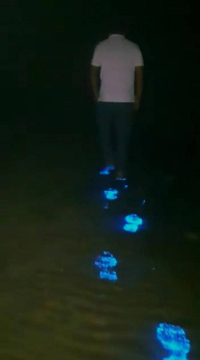 ಕಾರವಾರದ ರವೀಂದ್ರನಾಥ ಟ್ಯಾಗೋರ್ ಕಡಲತೀರದ ಸಮುದ್ರ ನೀರಿನಲ್ಲಿ ನಡೆದುಕೊಂಡು ಹೋದವರ ಹೆಜ್ಜೆಯ ಗುರುತಿನೊಂದಿಗೆ ಆಲ್ಗೆಗಳು ನೀಲಿ ಬೆಳಕು ಸೂಸಿರುವುದು