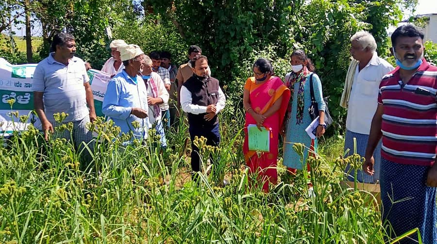 ಚಿಂತಾಮಣಿ ತಾಲ್ಲೂಕಿನ ಊಲವಾಡಿ ಗ್ರಾಮದಲ್ಲಿ ತಾಲ್ಲೂಕು ಕೃಷಿ ಇಲಾಖೆಯಿಂದ ಮಣ್ಣು ಆರೋಗ್ಯ ಅಭಿಯಾನ ಮತ್ತು ಬೆಳೆ ಕ್ಷೇತ್ರೋತ್ಸವ ನಡೆಯಿತು