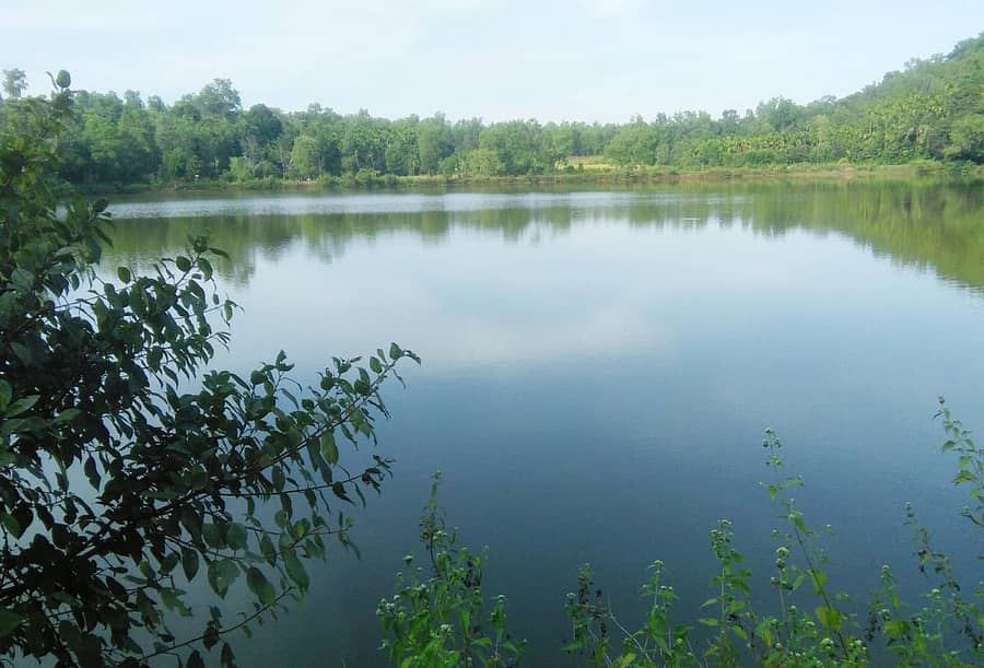 ಸಿದ್ದಾಪುರ ತಾಲ್ಲೂಕಿನ ಅವರಗುಪ್ಪ ಕೆರೆ